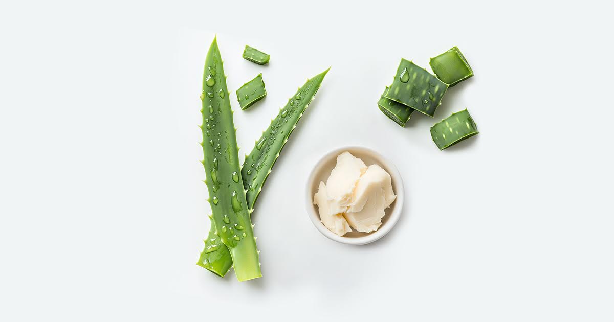 Shea Butter vs Aloe Vera: Which is Best for Your Skin Type?  Nature4Nature