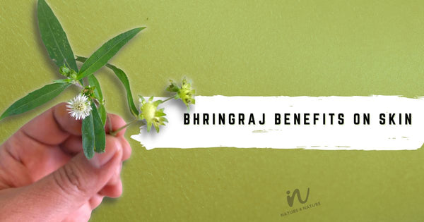 Bhringraj Benefits on Skin and Hair | Side Effects and Precautions