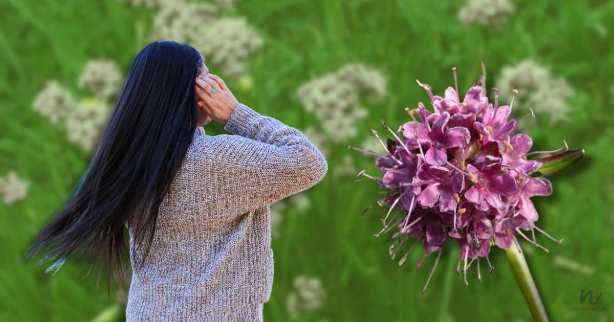 Magical Jatamansi Benefits for Hair