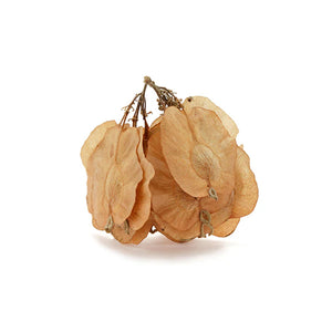 Neem